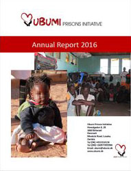 Årsrapport 2016 (EN)