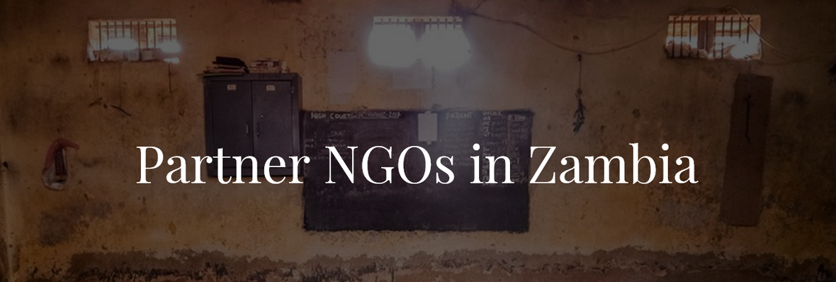 Ubumi partner NGOs in Zambia